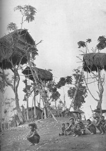Dobos, trehus for ugifte kvinner i Melanesia, 1902 av W. Lindt
