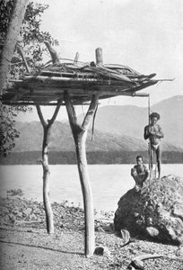 Mortuary-plattform i New Guinea, 1902 av W. Lindt