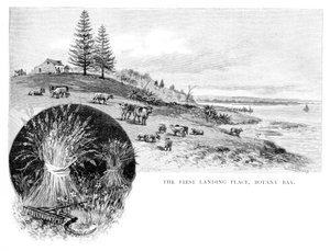 Det første landingsstedet, Botany Bay, New South Wales, Australia, 1886.