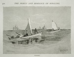 'Sounding' (småbåtmannskaper med håndharpuner gjør klar for jakten), for 'The Perils and Romance of Whaling' i Century Magazine, juni 1890 (gravering) av W. Taber
