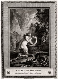 Cadmus og Hermine, metamorfosert til slanger, 1776
