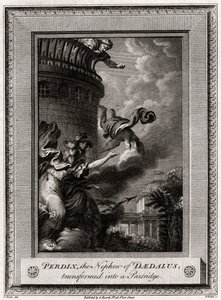 Perdix, nevøen til Daedalus, forvandlet til en rapphøne, 1774
