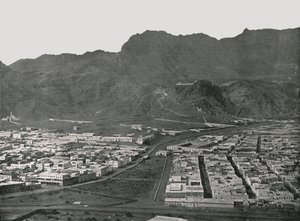 Generell visning som viser Camel Market, Aden, 1895. av W and S Ltd
