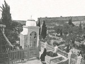 Getsemane-hagen, Jerusalem, Palestina, 1895. av W and S Ltd
