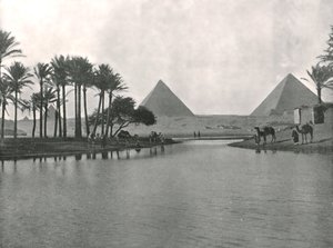 Pyramidene og Nilen, Gizeh, Egypt, 1895.