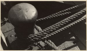  av Walker Evans