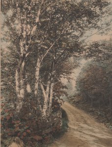 Westmore Drive av Wallace Nutting