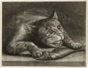 Katt med fisk av Wallerant Vaillant