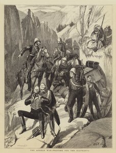 Den afghanske krigen, venter på elefantene
