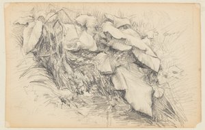 Studie av gress og planter av Walter Clark