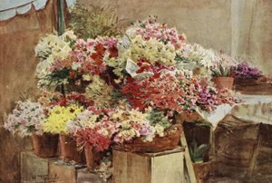Blomsterbod, Mentone-markedet