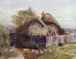 The New Forest: A Cottage at Bartley (farge litho) av Walter Frederick Roofe Tyndale