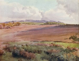 The New Forest: Across Malwood Walk from the Road to Fritham (farge litho) av Walter Frederick Roofe Tyndale