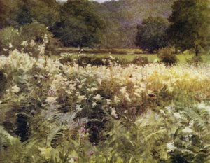 The New Forest: Meadow Sweet nær Royden (farge litho) av Walter Frederick Roofe Tyndale