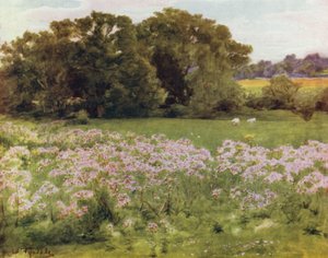 The New Forest: Riversdale, Boldre (farge litho) av Walter Frederick Roofe Tyndale