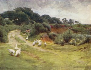The New Forest: Royden Common, nær Brokenhurst (farge litho) av Walter Frederick Roofe Tyndale