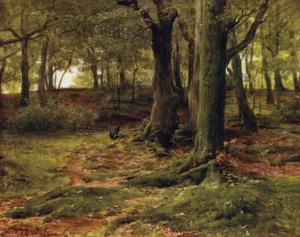 The New Forest: The Hill Woods, Lyndhurst (farge litho) av Walter Frederick Roofe Tyndale