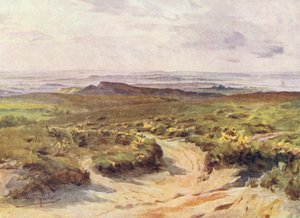 Wessex: Studland Heath, Poole havn i det fjerne (fargelitografi)