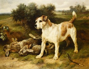 En Fox Terrier med Dagens Bag