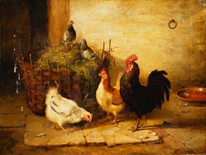 Fjærkre og duer i et interiør av Walter Hunt