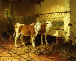 To kalver i en låve