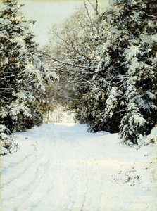 Snøladet trær