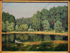 Skoglandskap med en innsjø i Brandenburg