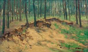 Skog med sandkasse