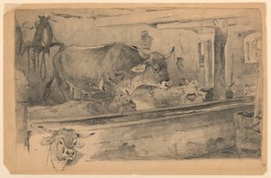 Storfestudie for saueklipping av Walter Shirlaw