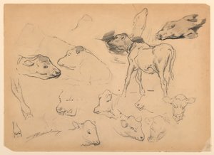 Studier av storfe, sauehoder og et svin av Walter Shirlaw