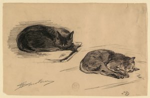Studie av katter av Walter Shirlaw