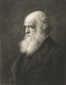 Charles Robert Darwin (gravering) av Walter William (after) Ouless