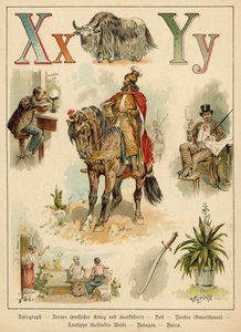 Bokstav X og bokstav Y (chromolitho)