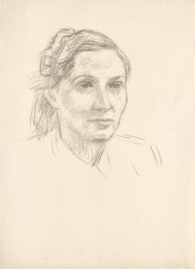  av Walther Gamerith