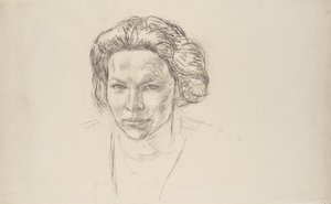  av Walther Gamerith