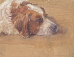 hundehode (studie) av Walther Gamerith