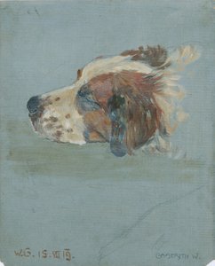 hundehode av Walther Gamerith