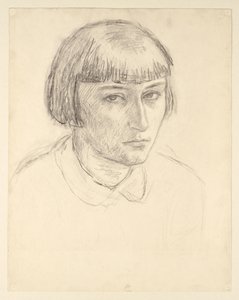  av Walther Gamerith