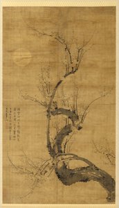 En Prunus i måneskinnet av Wang Mian