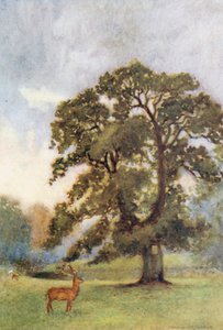  av Warwick (after) Goble