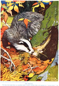 The Badger, fra 
