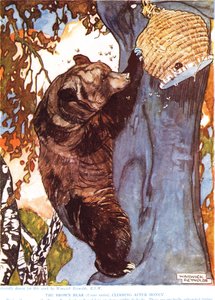 Brunbjørnen (Ursus arctos), klatrer etter honning, illustrasjon fra 