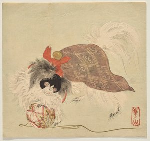 Japanese Chin-hund i lilla kappe, leker med en silketrådball