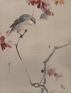 Bird on Branch Watching Spider, ca. 1887.