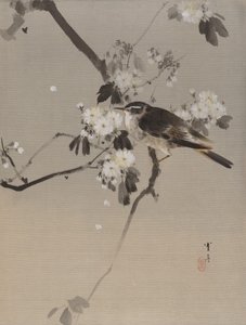Fugler på en blomstrende gren, ca. 1887.