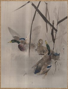 Ducks in the Rushes, ca. 1887.