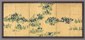 Iris, 1700-tallet.