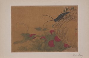 Grasshopper on Rock, 1400-tallet. av Wen Liang
