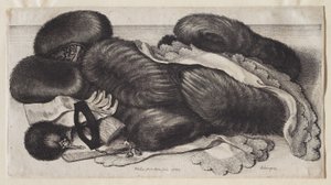  av Wenceslaus Hollar