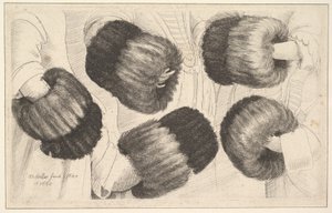 En muff i fem visninger, 1645-46. av Wenceslaus Hollar